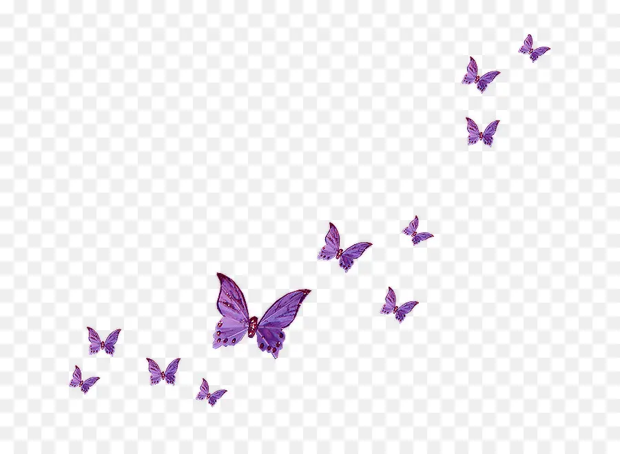 бабочка，летать на бабочке PNG