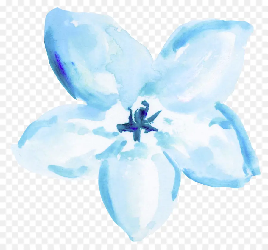 синий，акварельные цветы PNG