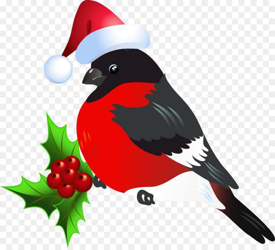 птица，Рождество PNG