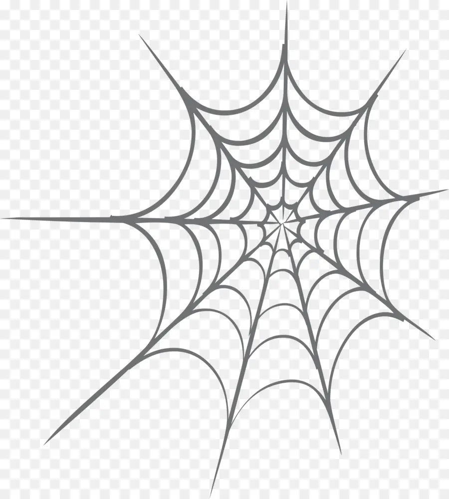 паук，веб паук PNG