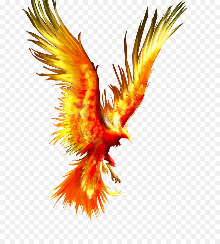 Феникс，птица PNG
