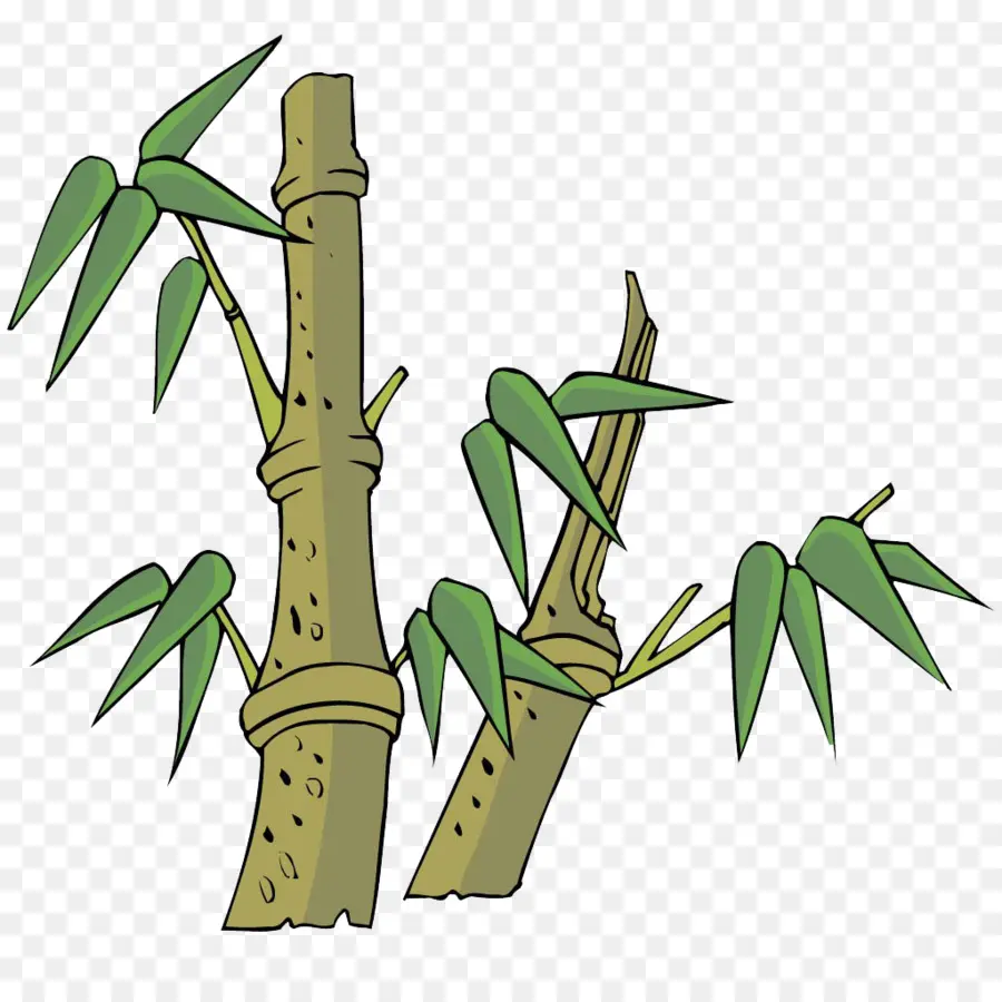 бамбук，мультфильм PNG