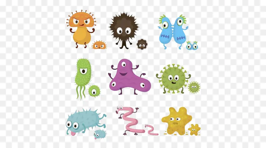 бактерии，мультфильм PNG