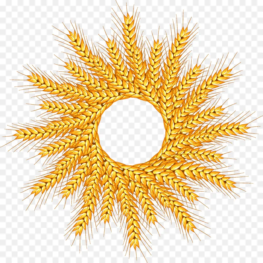 пшеницы，логотип PNG
