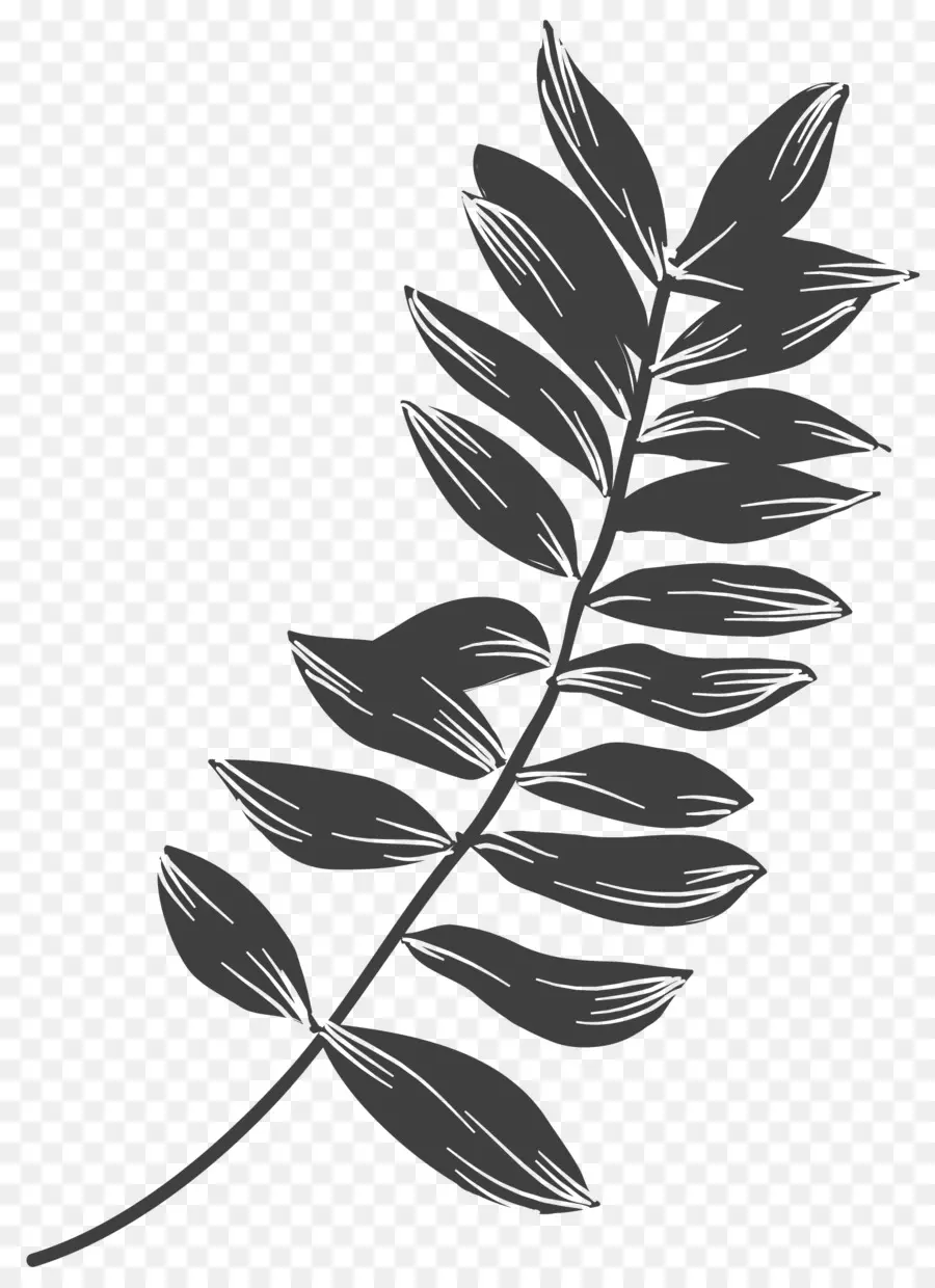листья растений，лист PNG
