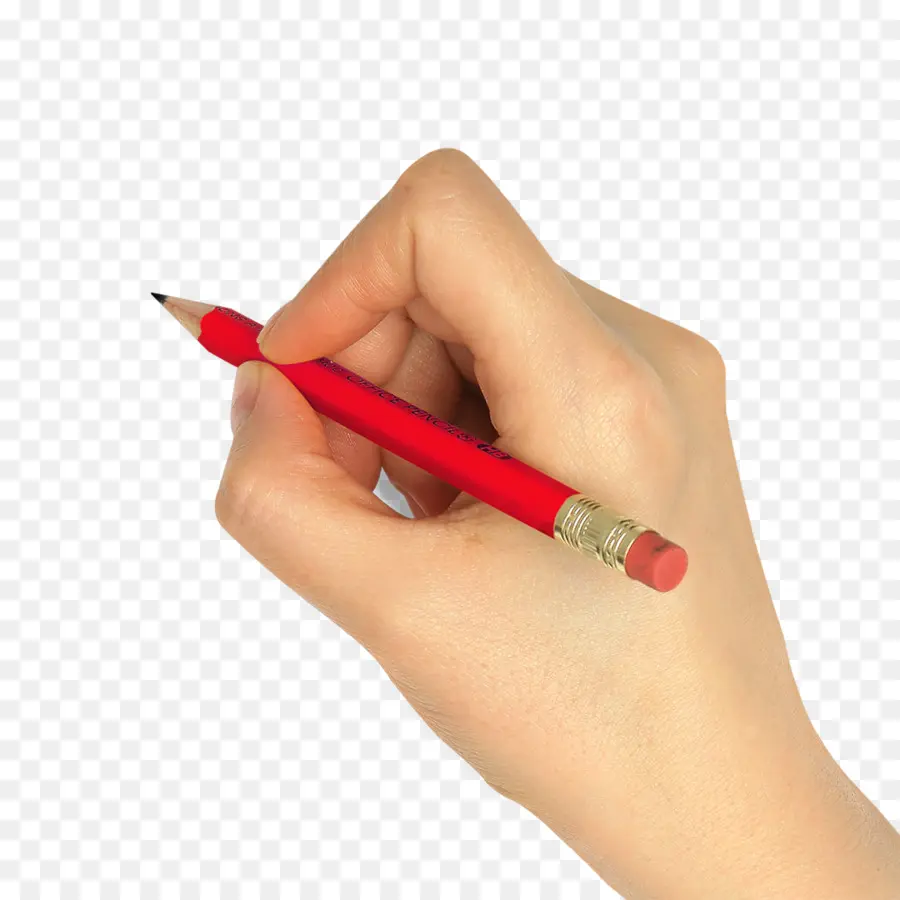 карандаш，руки PNG