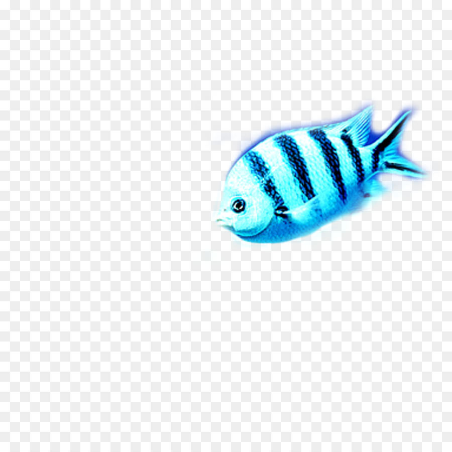 бирюзовый，Fish PNG