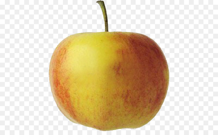 яблоко，натюрморт фотография PNG