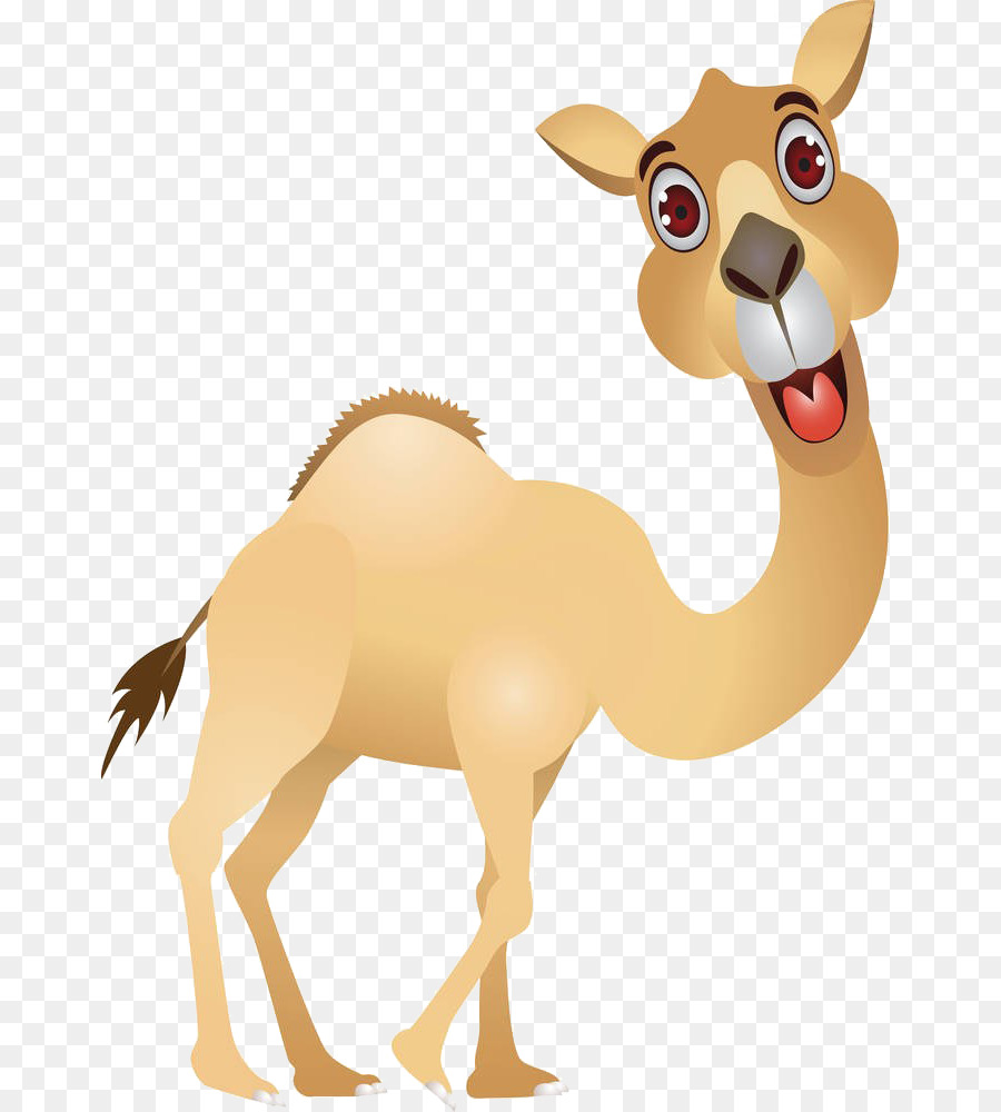 Верблюжонок из мультфильма