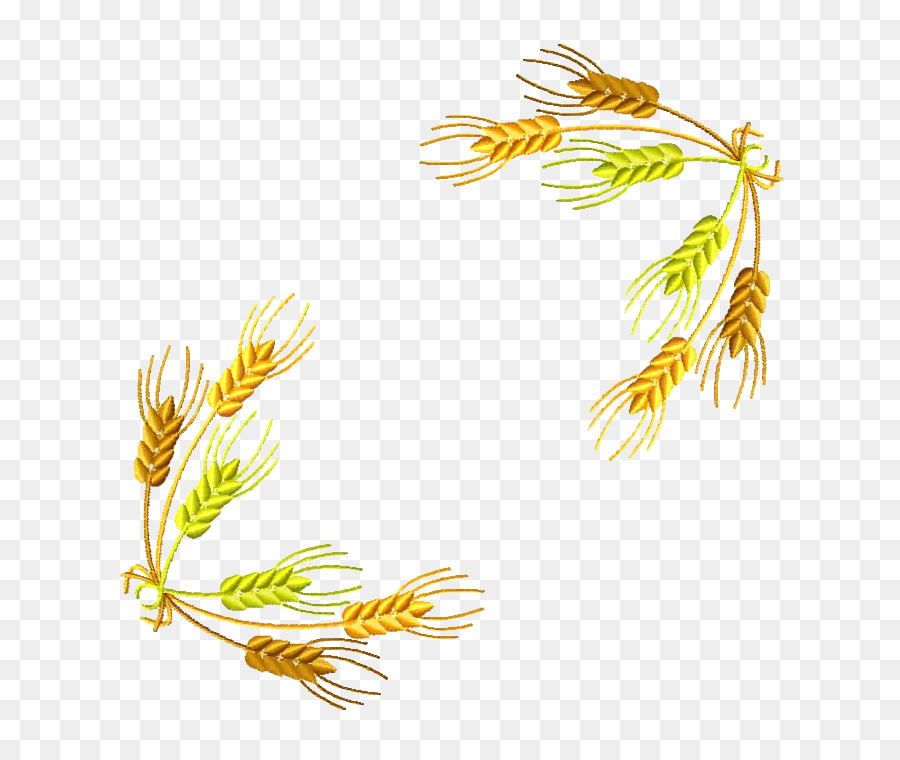 пшеницы，мука PNG