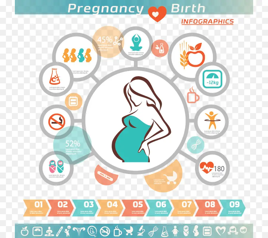 беременность，инфографики PNG