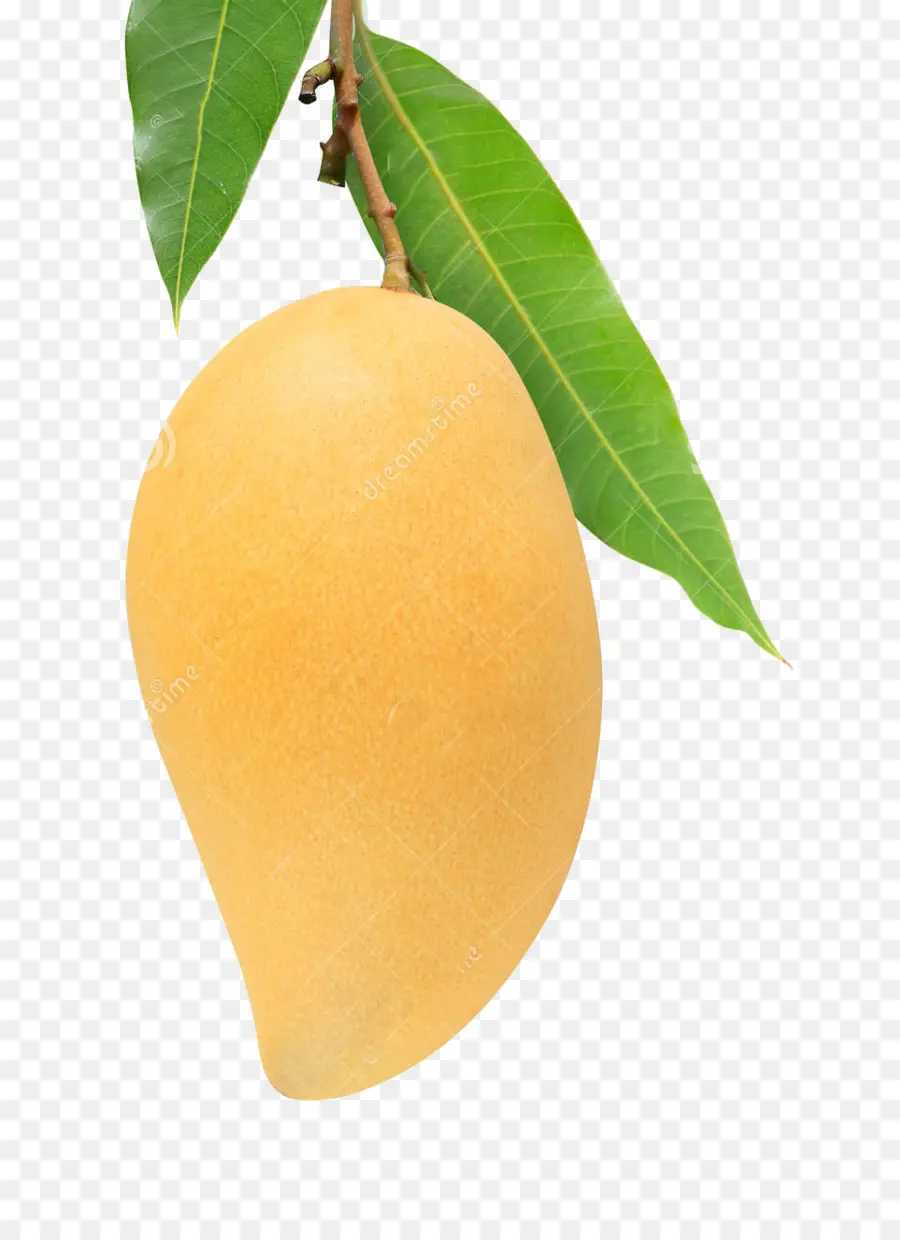 манго，лист PNG