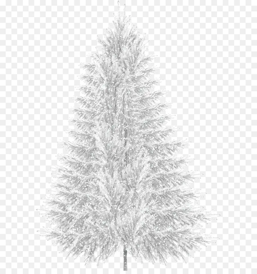 дерево，Рождество PNG