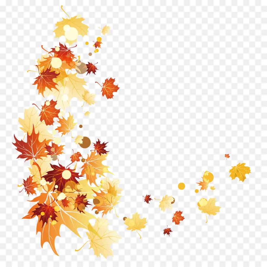 осень，осенняя окраска листьев PNG