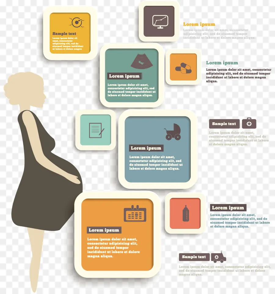 беременность，инфографики PNG