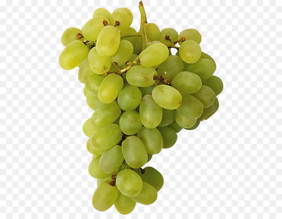 вина，общие винограда PNG