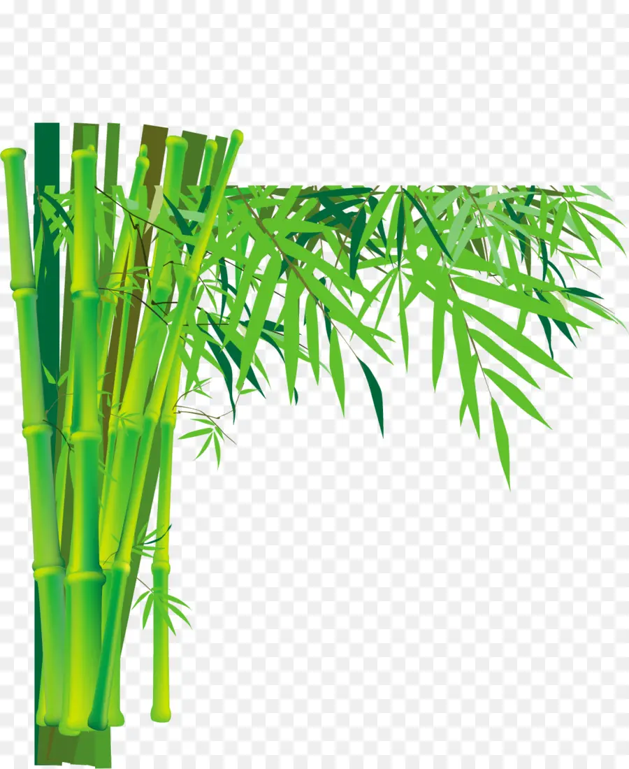 бамбук，плам блоссом PNG