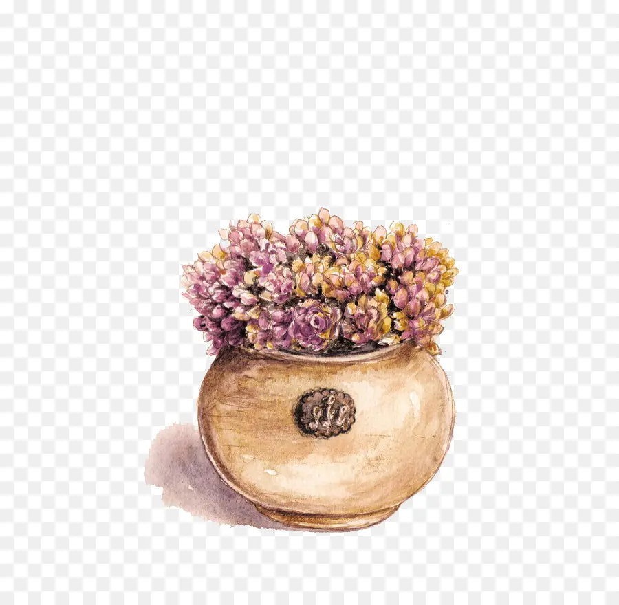 суккулентное растение，фиолетовый PNG