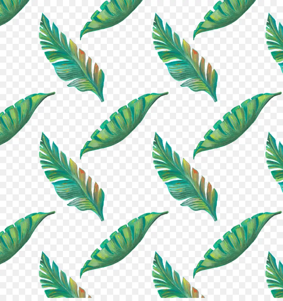 лист，тропиках PNG