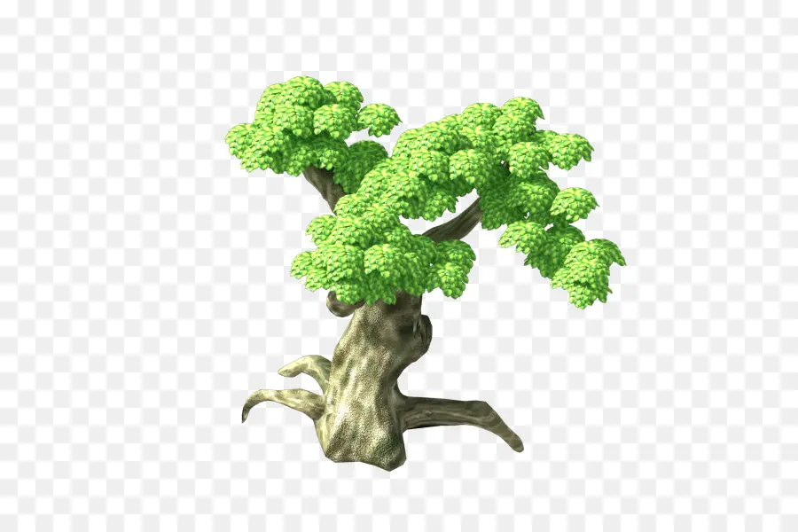дерево，древесины PNG