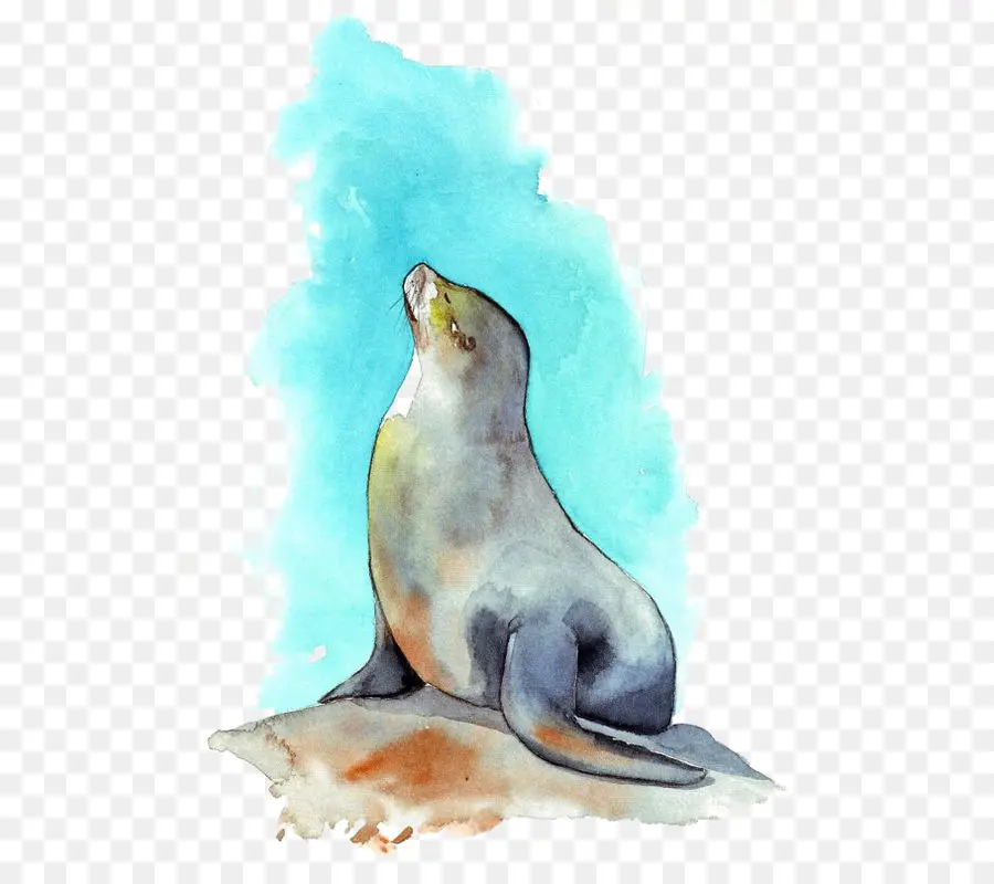 морской Лев，акварельная живопись PNG