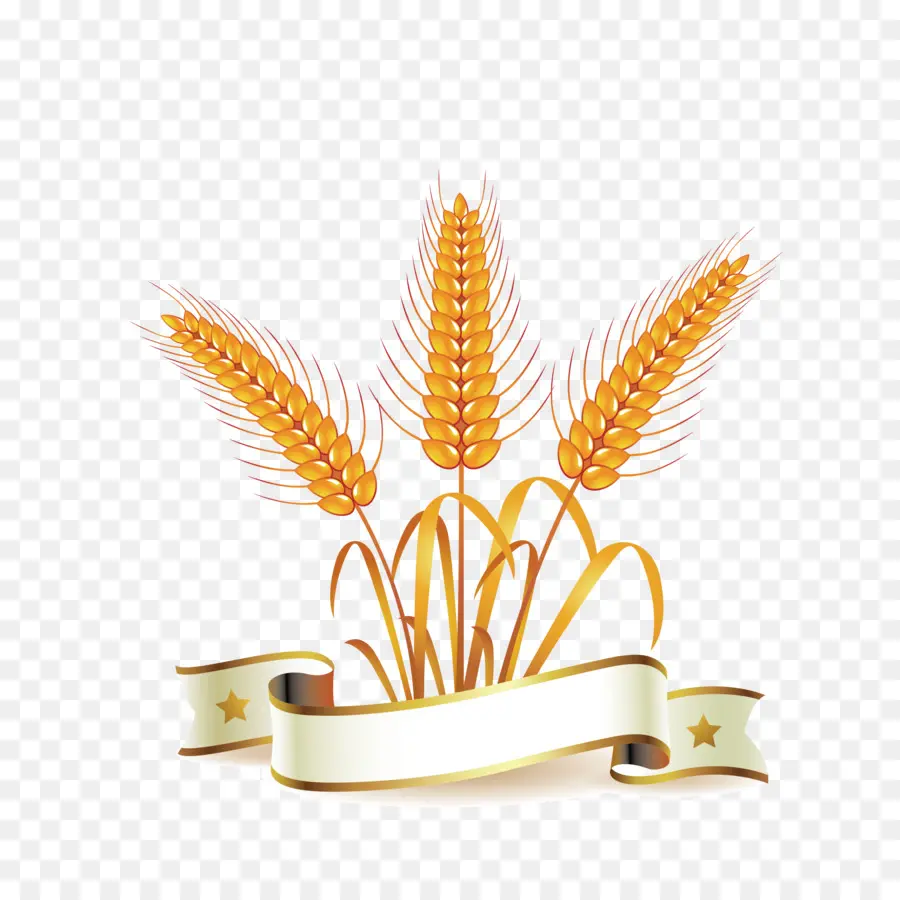 общие пшеницы，хлеб PNG