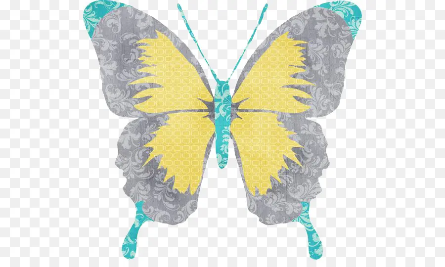 бабочка，рисунок PNG
