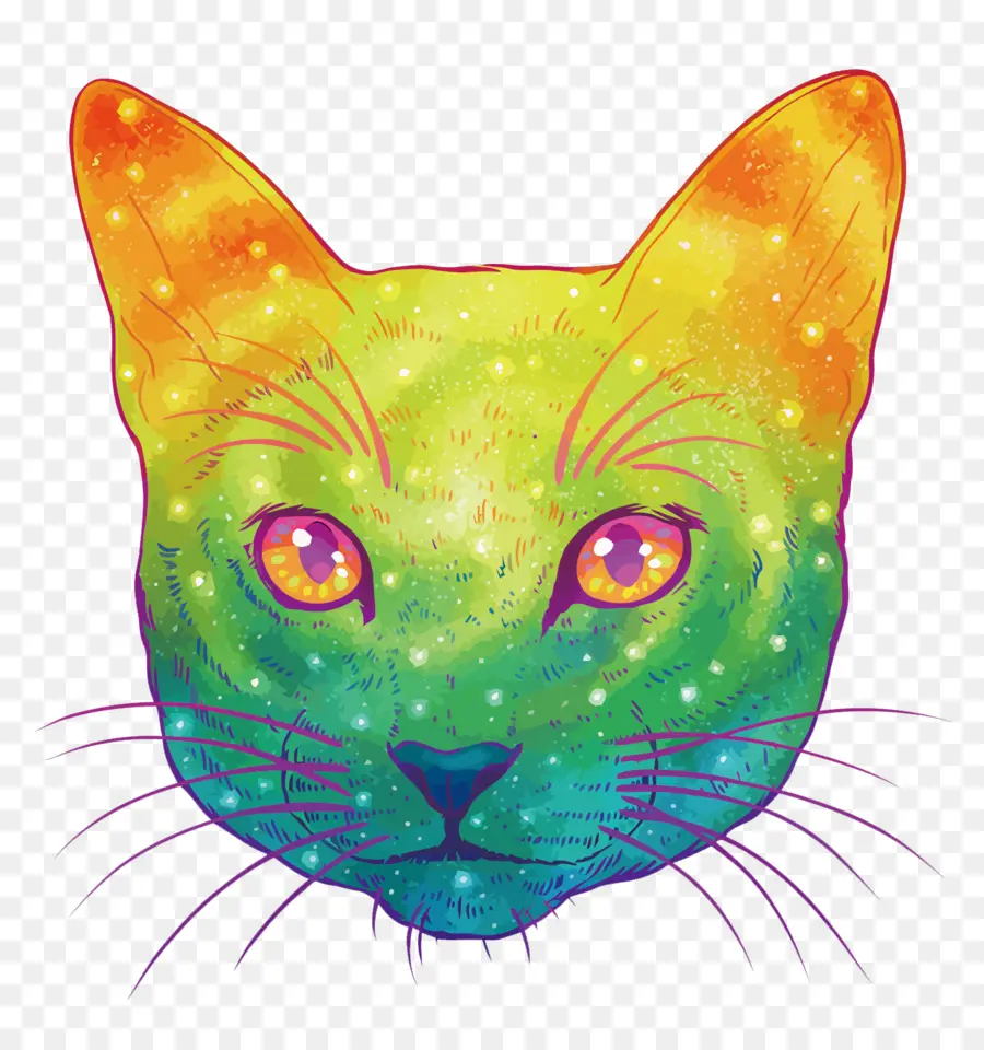 Красочный кот，Кот PNG