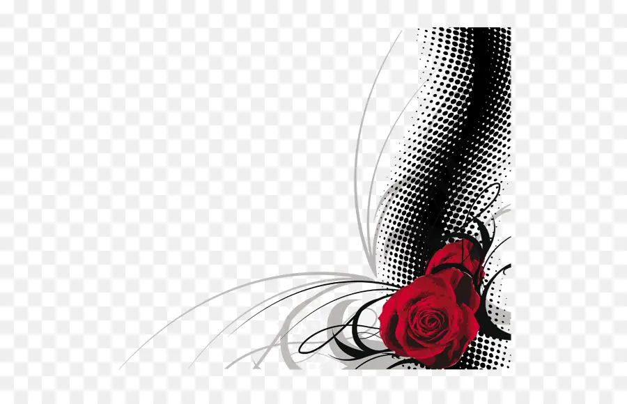 роза，День Святого Валентина PNG