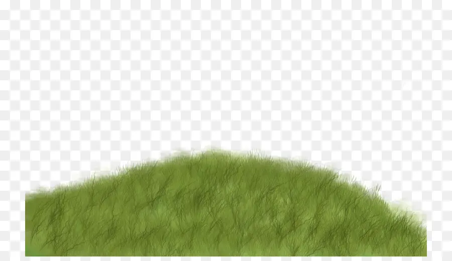 газон，зеленый PNG