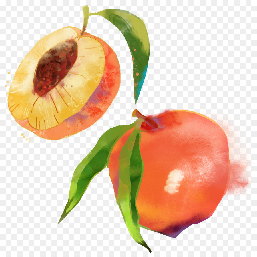 Акварельный персик