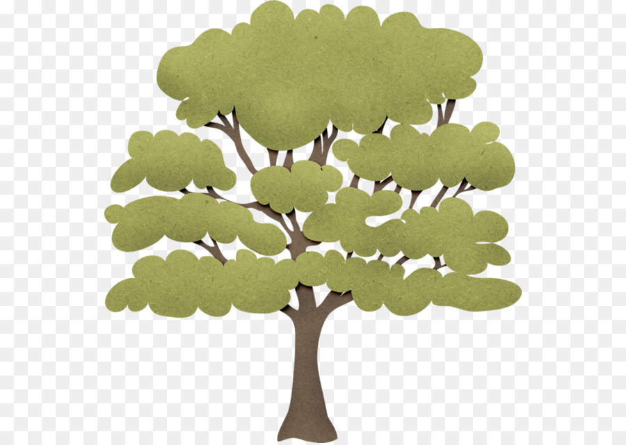 дерево，филиал PNG