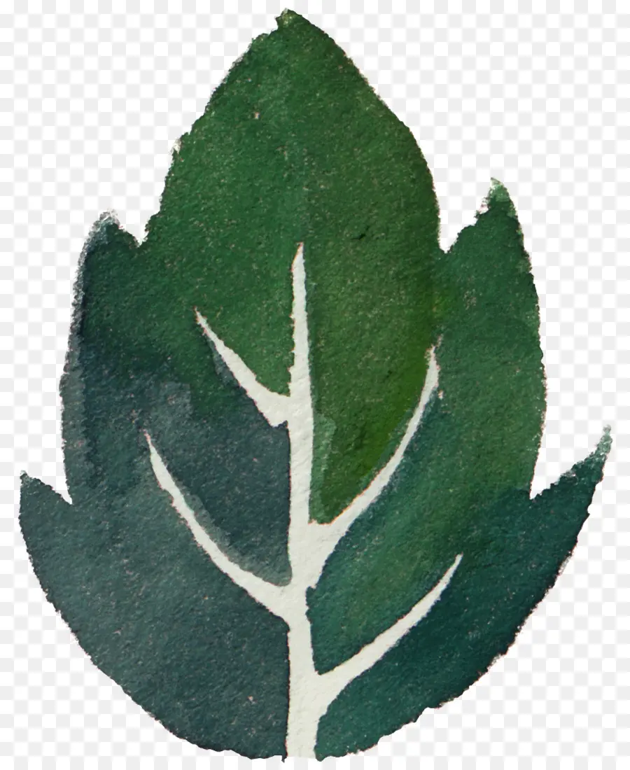 лист，акварельная живопись PNG