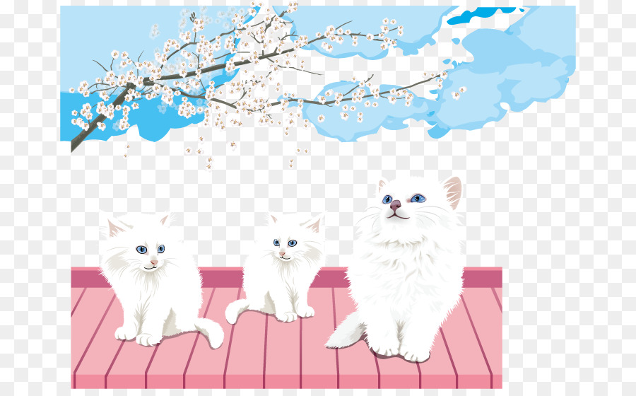 персидская кошка，проект белый кот PNG