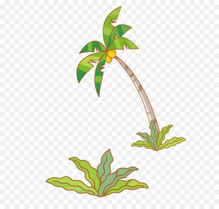 кокосовое，дерево PNG