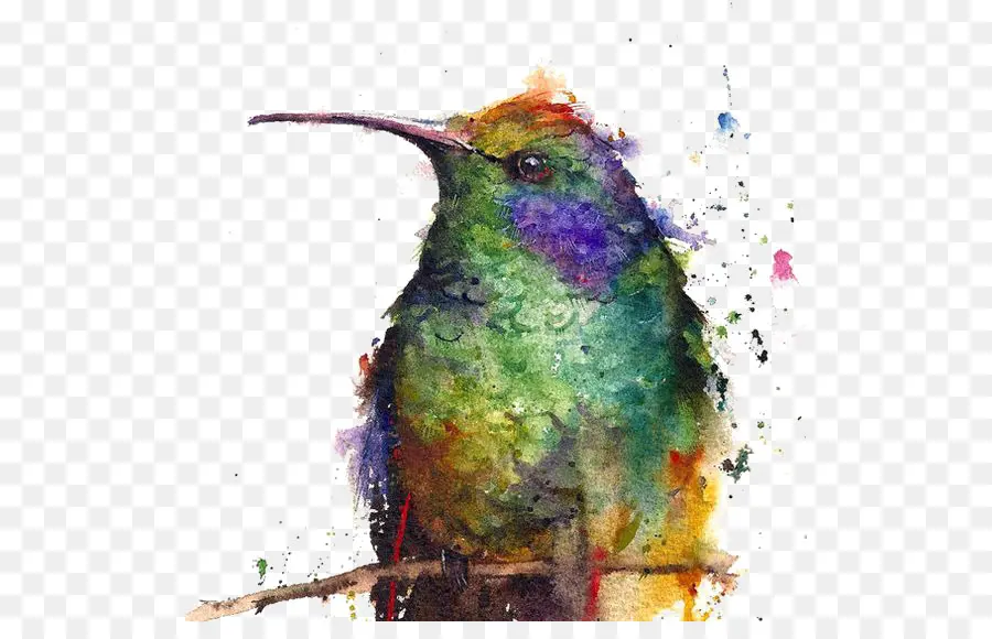 Колибри，акварельная живопись PNG