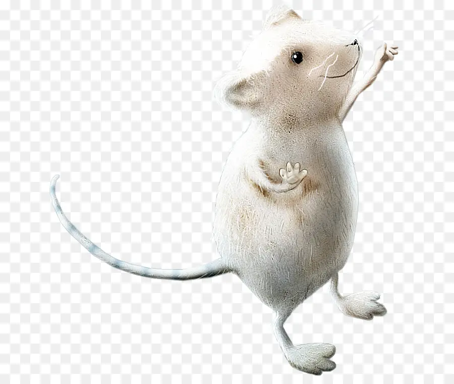 мышь，компьютерная мышь PNG