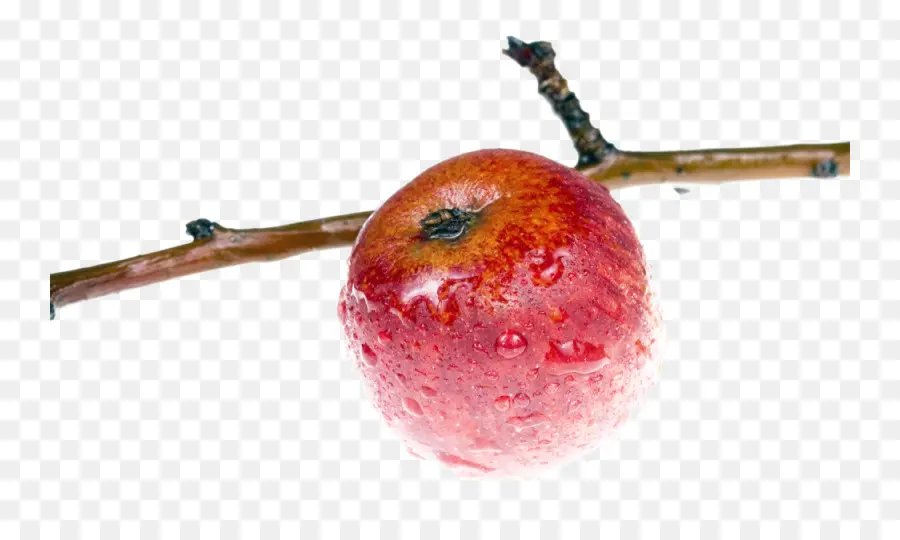 яблоко，филиал PNG