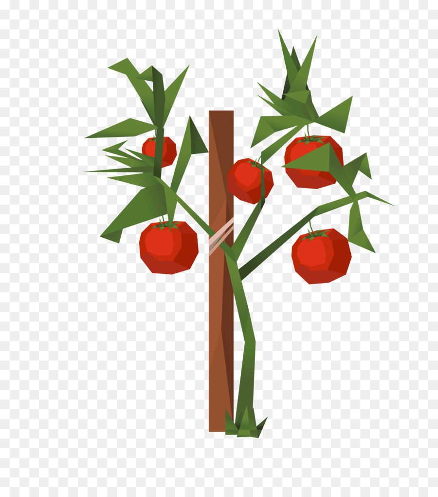 помидор，вишня PNG