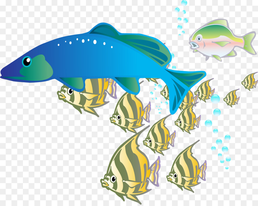 рыбы，дизайнер PNG