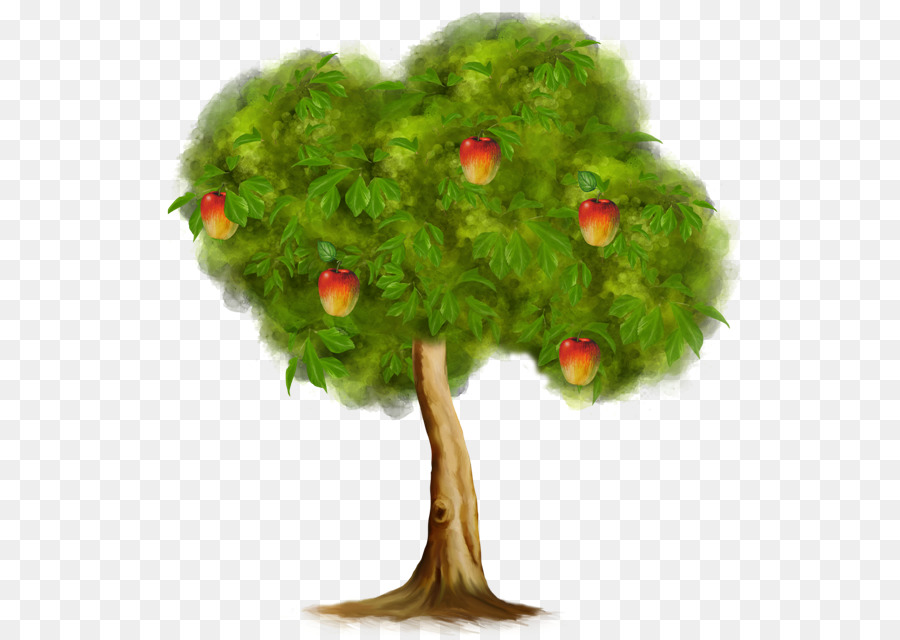 яблоки，дерево PNG