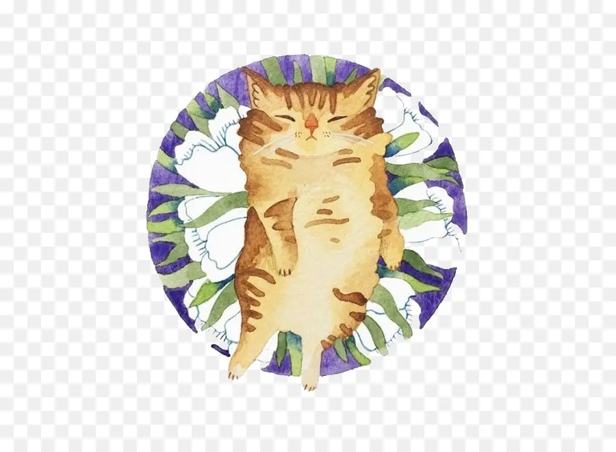 Спящий кот，Спящий PNG