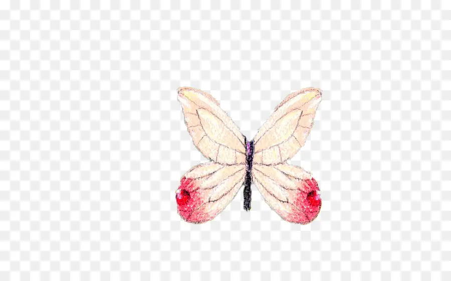 бабочка，розовый PNG