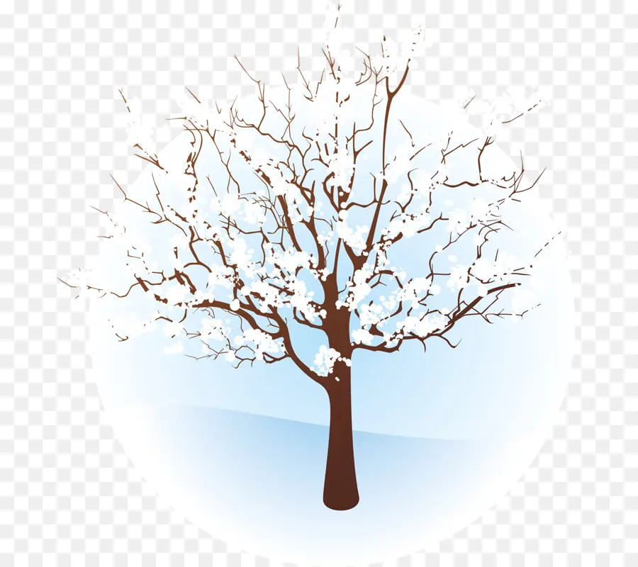 дерево，зима PNG