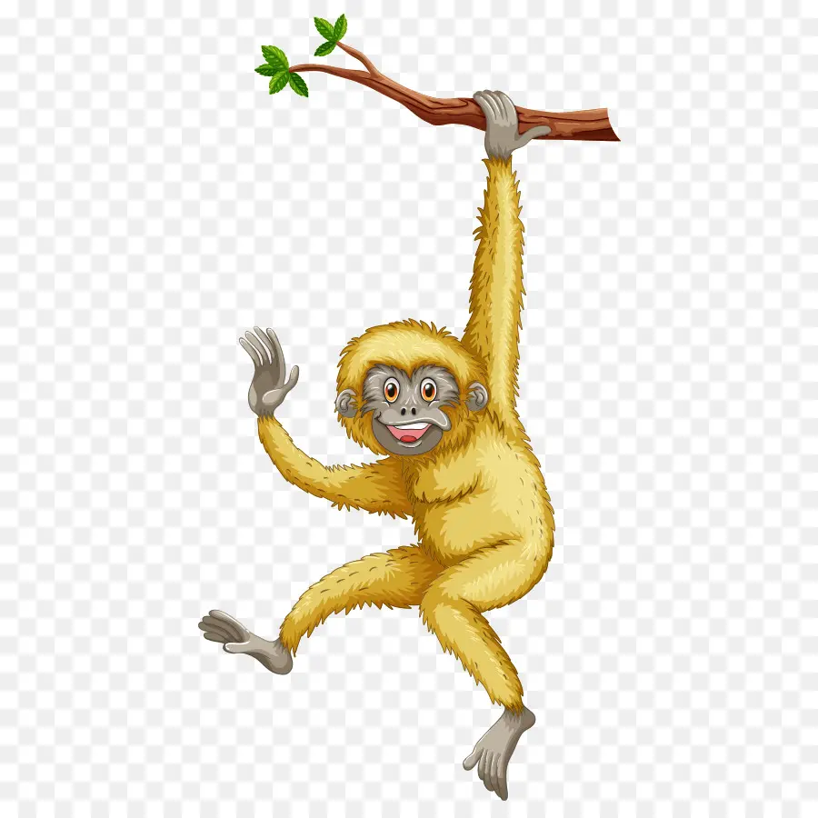 обезьяна，предстоятель PNG