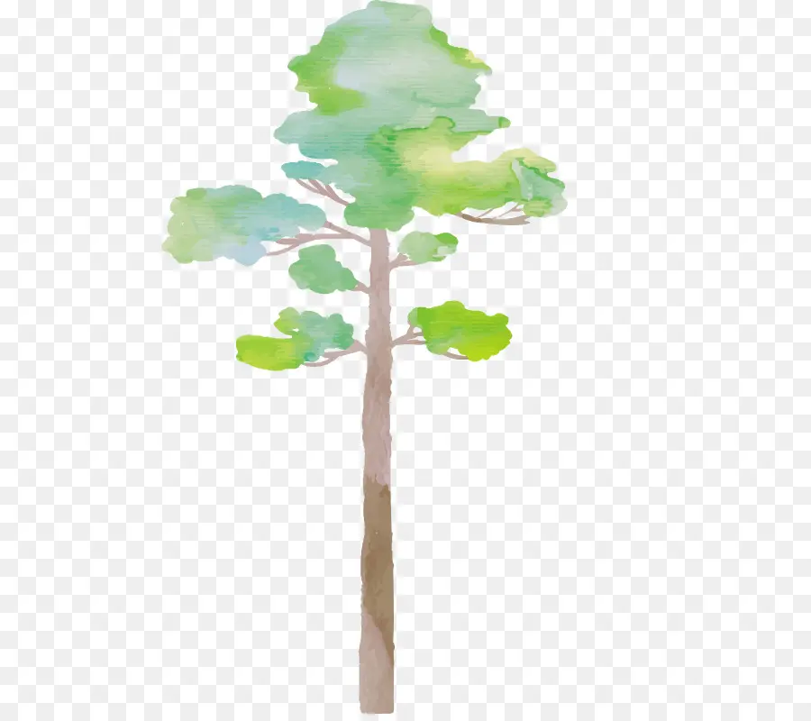 дерево，живопись PNG