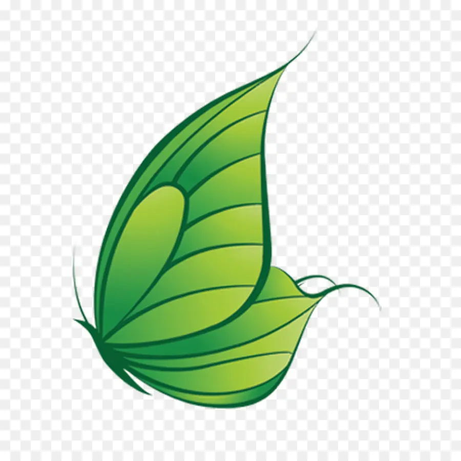 бабочка，зеленый PNG