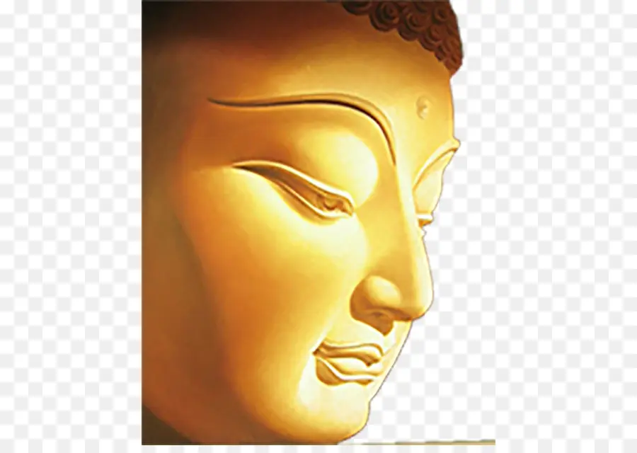 шакья，буддизм PNG