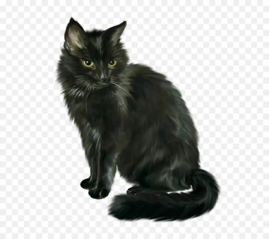 сиамская кошка，черный кот PNG
