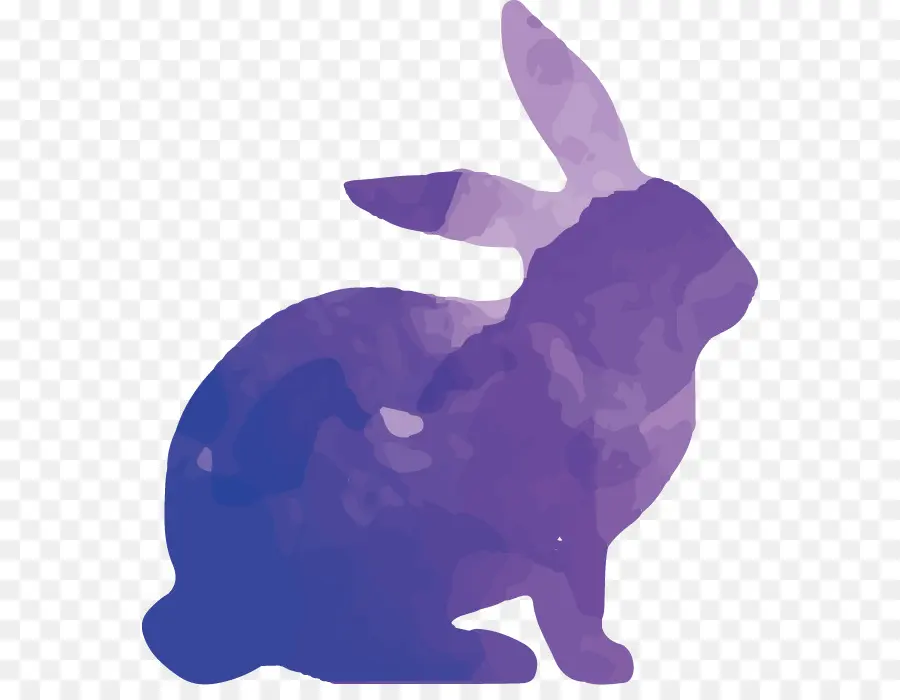 кролик，силуэт PNG